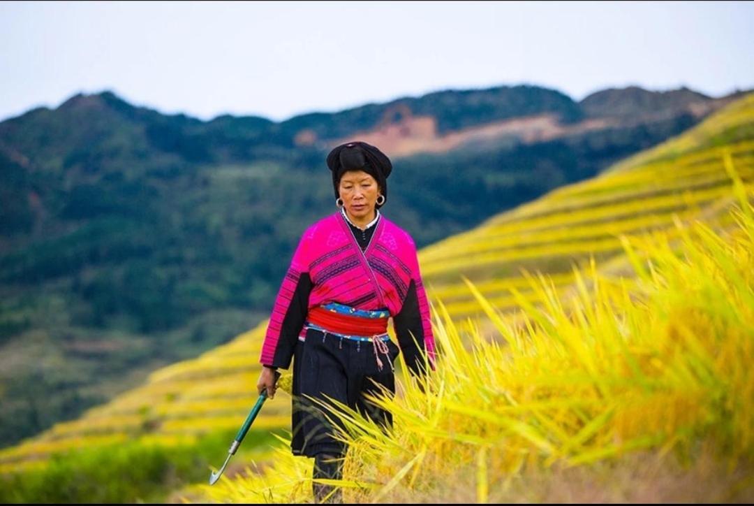 Rice View Villa Longsheng Eksteriør bilde