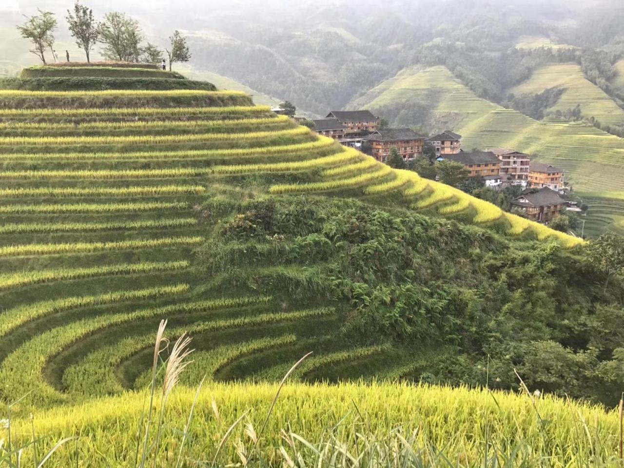 Rice View Villa Longsheng Eksteriør bilde